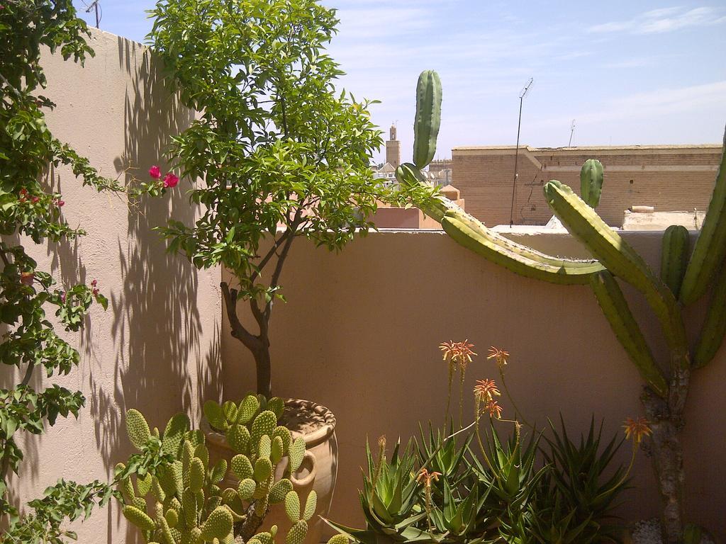Riad Irene Marrakesh Exterior foto