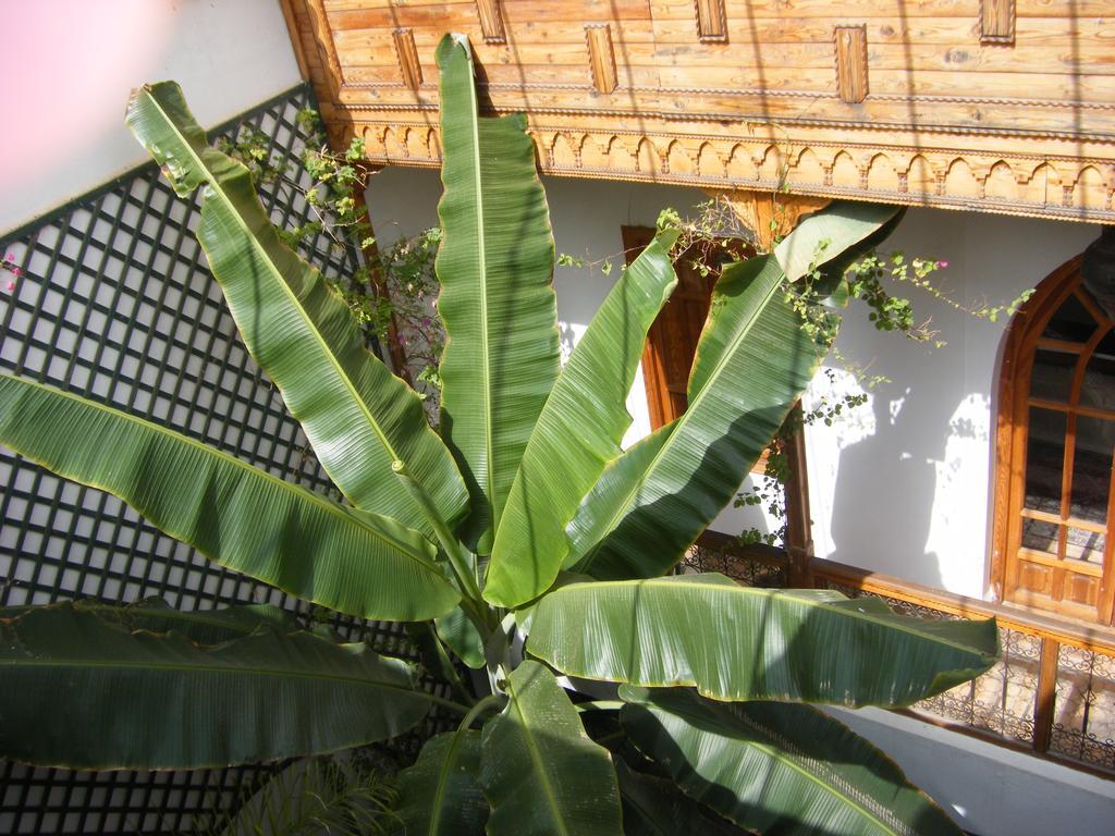 Riad Irene Marrakesh Exterior foto