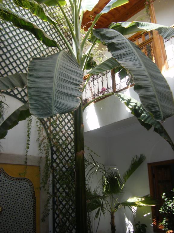 Riad Irene Marrakesh Exterior foto