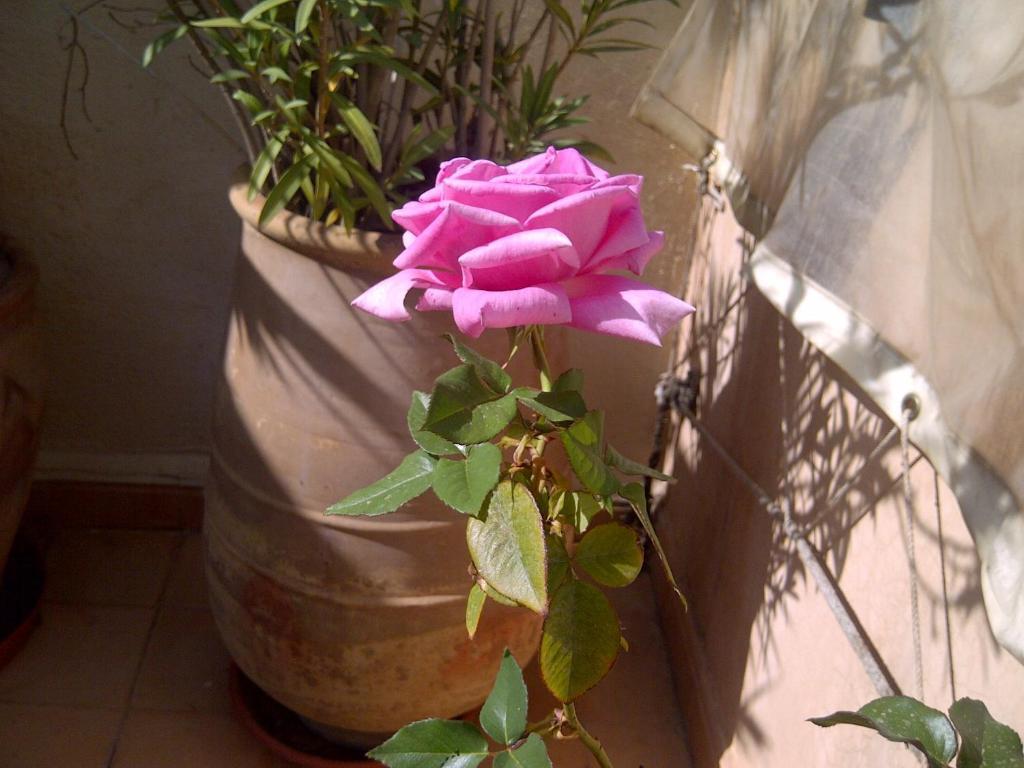 Riad Irene Marrakesh Exterior foto